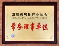 四川省房地产业协会 常务理事单位